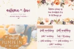 The Lovely Heart Font Bundle - Image 4