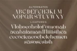 Melisen - A Modern Serif Font - Image 4