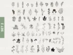 Botanical Svg Bundle - Image 4