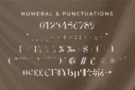 Melisen - A Modern Serif Font - Image 5