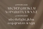 Melisen - A Modern Serif Font - Image 6