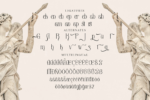 Qaugherty Stylish Serif Font - Image 11